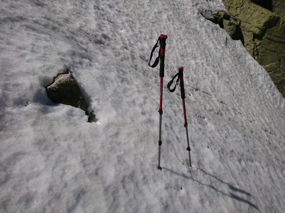 Cara Norte De Gredos オヨス・デル・エスピーノ エクステリア 写真