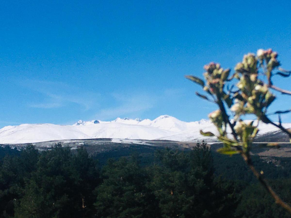 Cara Norte De Gredos オヨス・デル・エスピーノ エクステリア 写真